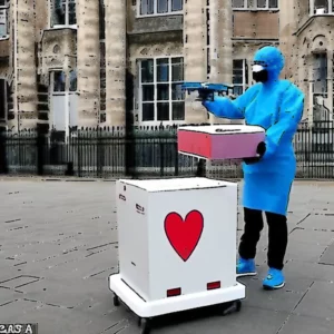 Artistic representation for Drone delivery for nhs blood samples in london: a new era of healthcare