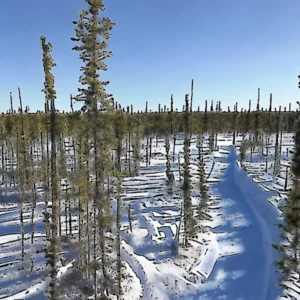 Artistic representation for Golden Pursuit Completes 2024 Exploration Program at the Gordon Lake Project , Northwest Territories