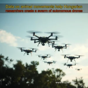 Artistic representation for Data on animal movements help Hungarian researchers create a swarm of autonomous drones