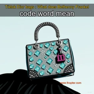 Artistic representation for Tiktok Dior bags : What does Bethenny Frankel code word mean