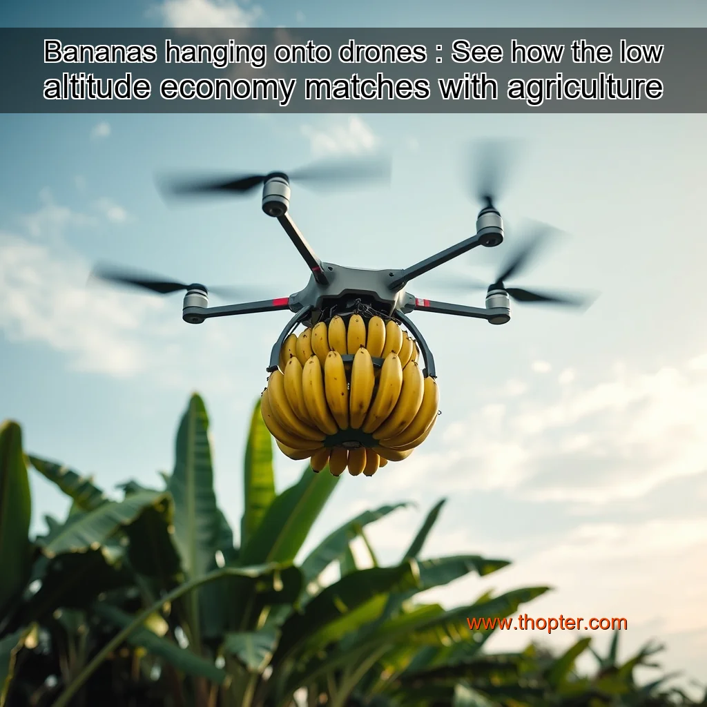 Artistic representation for Bananas hanging onto drones : See how the low altitude economy matches with agriculture